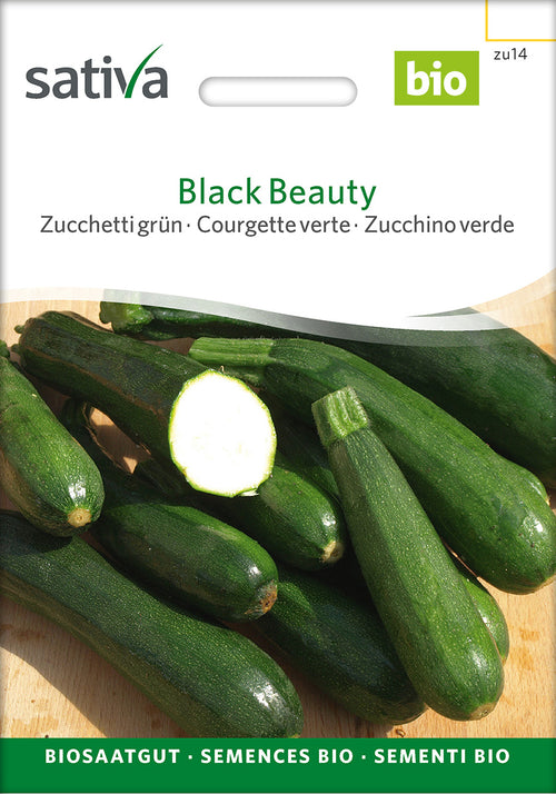 Sativa Zucchetti grün Black Beauty