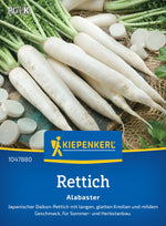 Kiepenkerl Rettich Alabaster