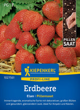 Kiepenkerl Erdbeeren Elan Pillensaat