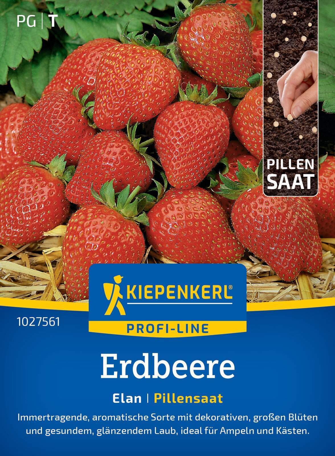 Kiepenkerl Erdbeeren Elan Pillensaat