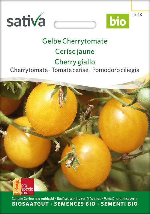 Sativa Cherrytomate Gelbe Cherrytomate