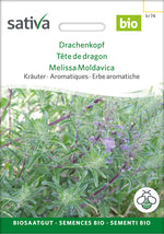 Sativa Drachenkopf