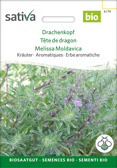 Sativa Drachenkopf