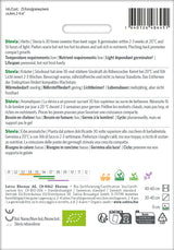 Sativa Stevia