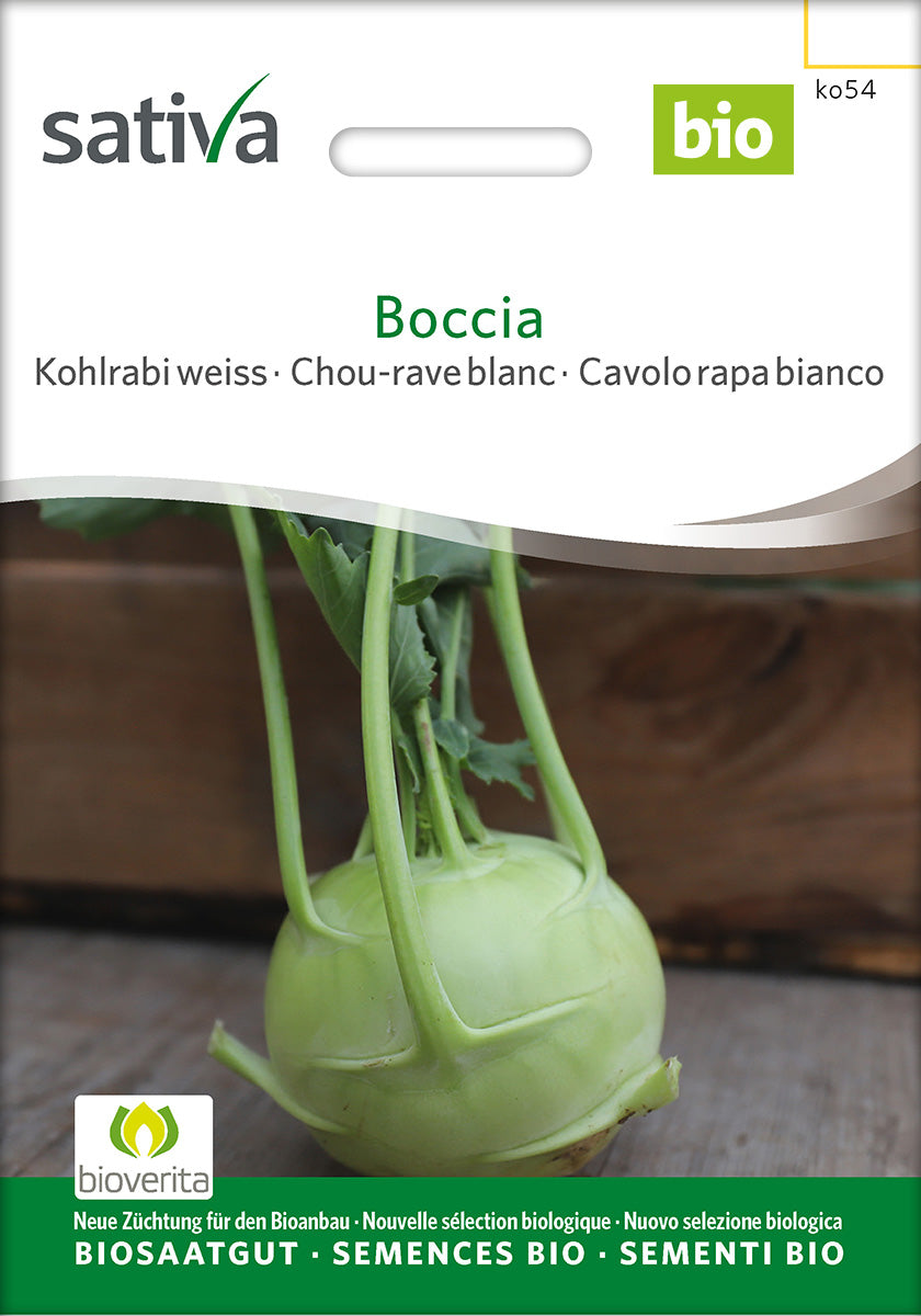 Sativa Kohlrabi weiss Boccia