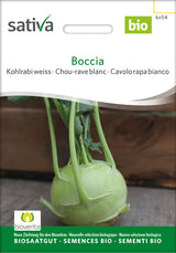 Sativa Kohlrabi weiss Boccia