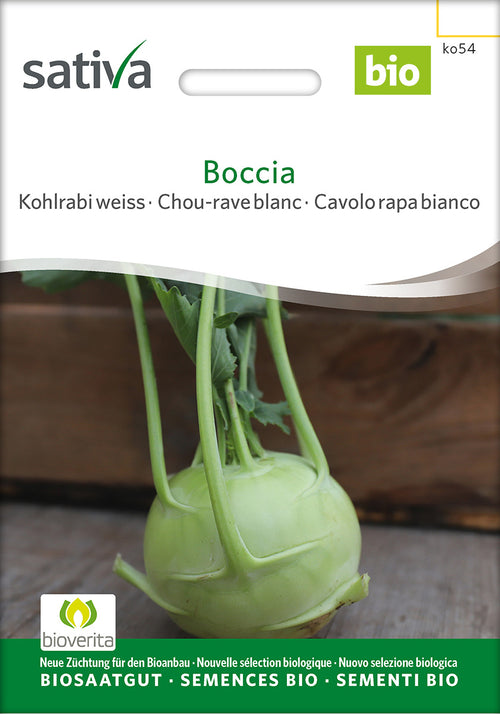 Sativa Kohlrabi weiss Boccia