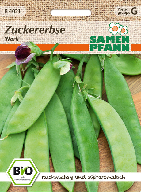 Samen Pfann BIO Zuckererbse Norli