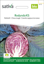 Sativa Rotkohl Rodynda KS