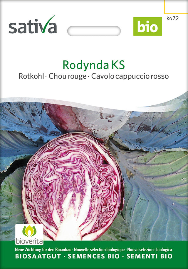 Sativa Rotkohl Rodynda KS