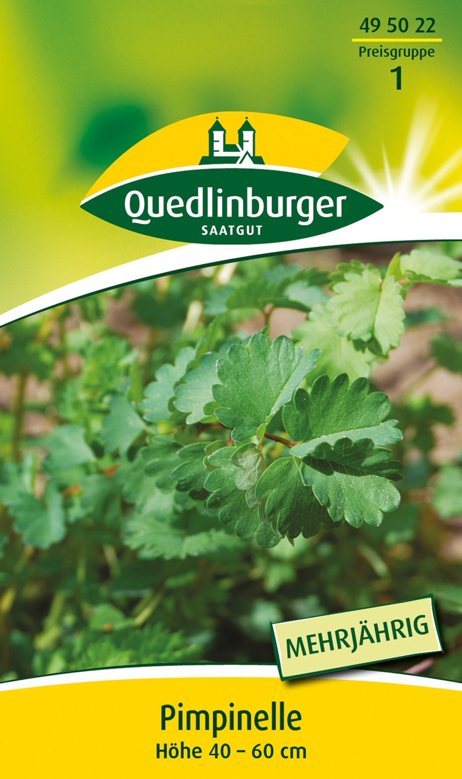 Quedlinburger Pimpinelle  Kleiner Wiesenknopf mehrjährig
