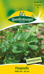 Quedlinburger Pimpinelle  Kleiner Wiesenknopf mehrjährig