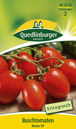 Quedlinburger Buschtomate Roma VF