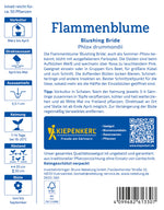 Kiepenkerl Flammenblumen Blushing Bride