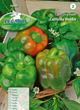 Paprika California Wonder