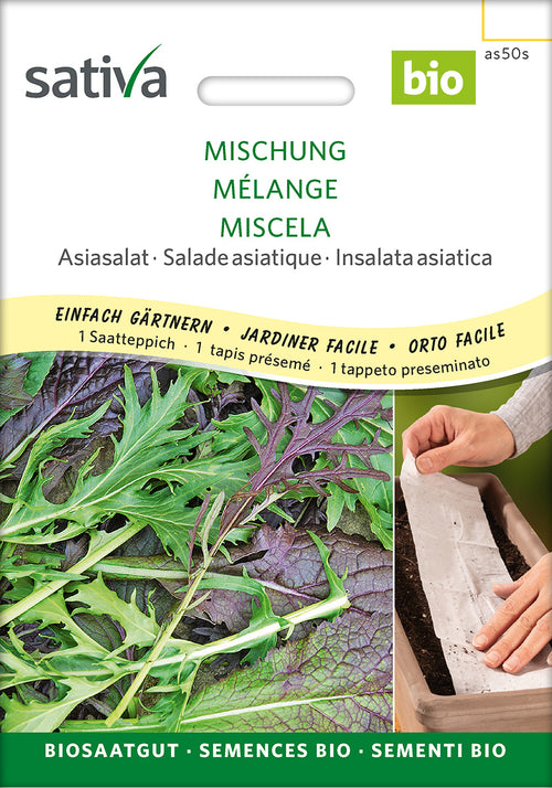 Sativa Asiasalat Mischung Saatteppich