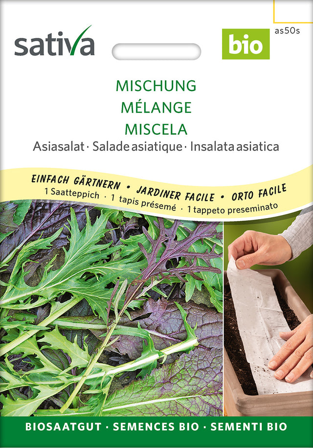 Sativa Asiasalat Mischung Saatteppich