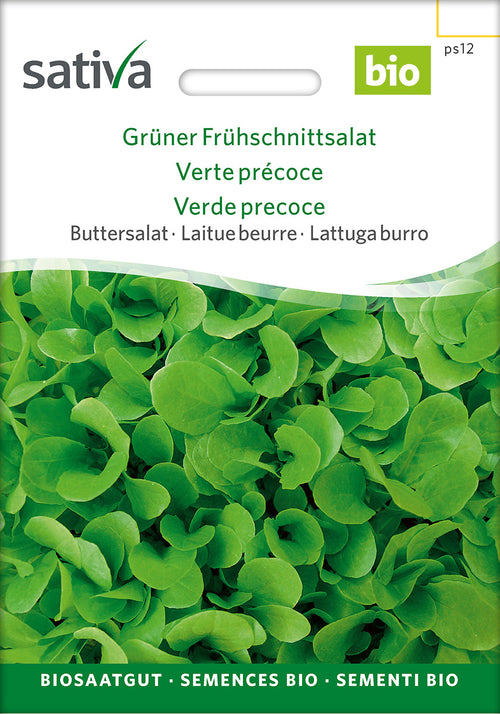 Sativa Buttersalat Grüner Frühschnittsalat