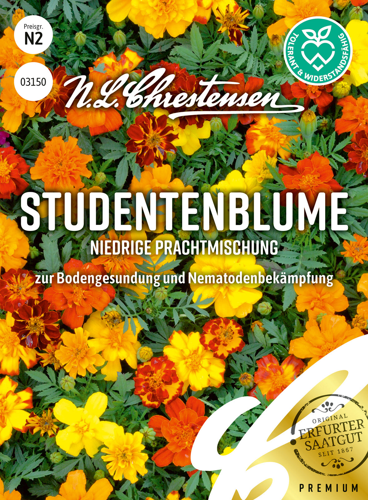 N.L. Chrestensen Studentenblume Niedrige Prachtmischung
