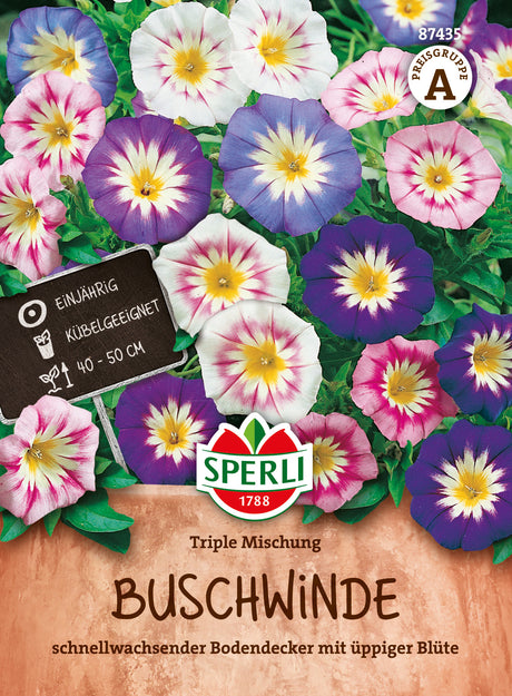 SPERLI Prunkwinde Triple Mischung