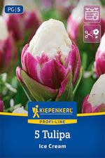 Profi-Line Gefüllte späte Tulpe Ice Cream
