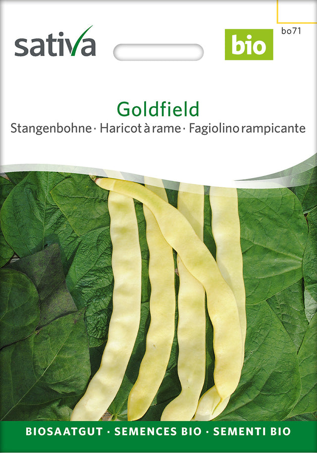 Sativa Stangenbohne Goldfield