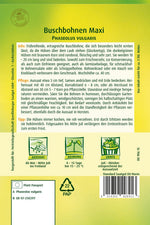 Quedlinburger Buschbohne Maxi