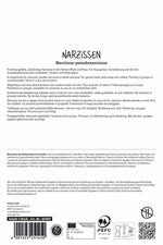 Gefüllte Narzisse Replete