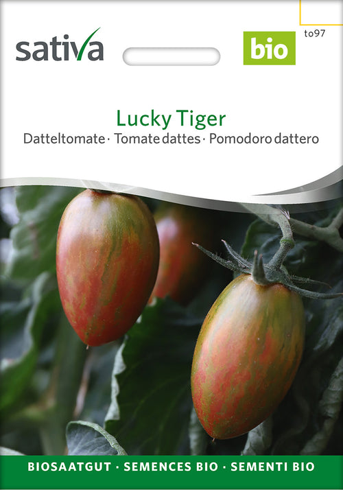 Sativa Datteltomate Lucky Tiger