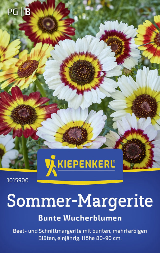Kiepenkerl Margeriten Bunte Wucherblumen