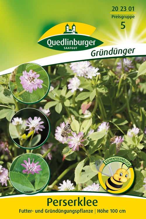 Quedlinburger Gründüngung Persischer Klee