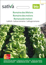Sativa Lattich Romaine des Melons