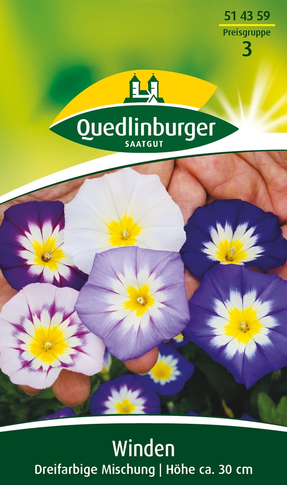 Quedlinburger Trichterwinde dreifarbige Mischung