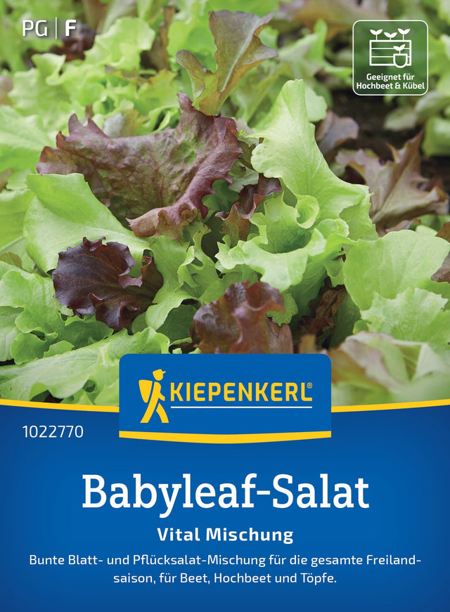 Kiepenkerl Pflück- & Schnittsalat Vital Mischung