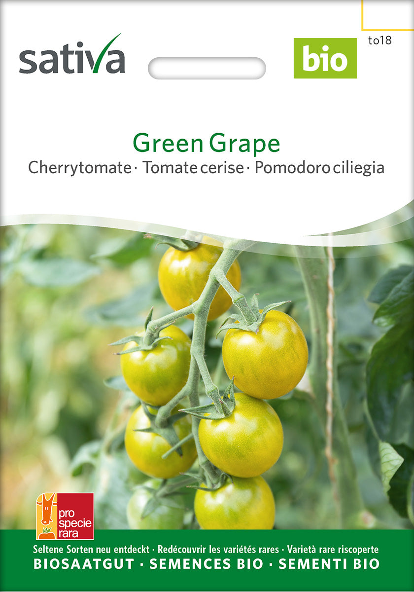 Sativa Cherrytomate Green Grape