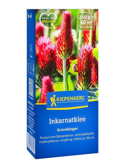 Kiepenkerl Gründünger Inkarnatklee