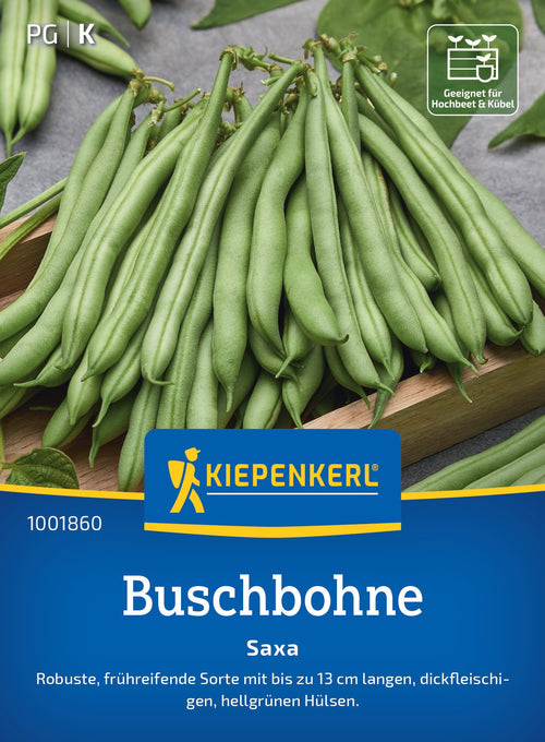 Kiepenkerl Buschbohnen Saxa
