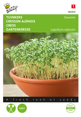 Buzzy Seeds Gartenkresse Einfach