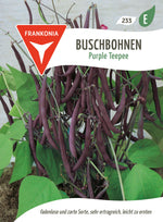 Frankonia Samen Buschbohnen Purple Teepee