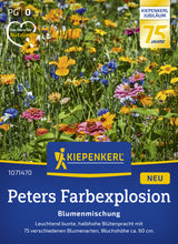 Kiepenkerl Blumenmischung Peters Farbexplosion
