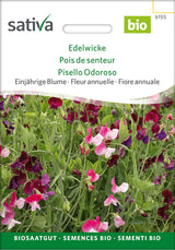 Sativa Edelwicke