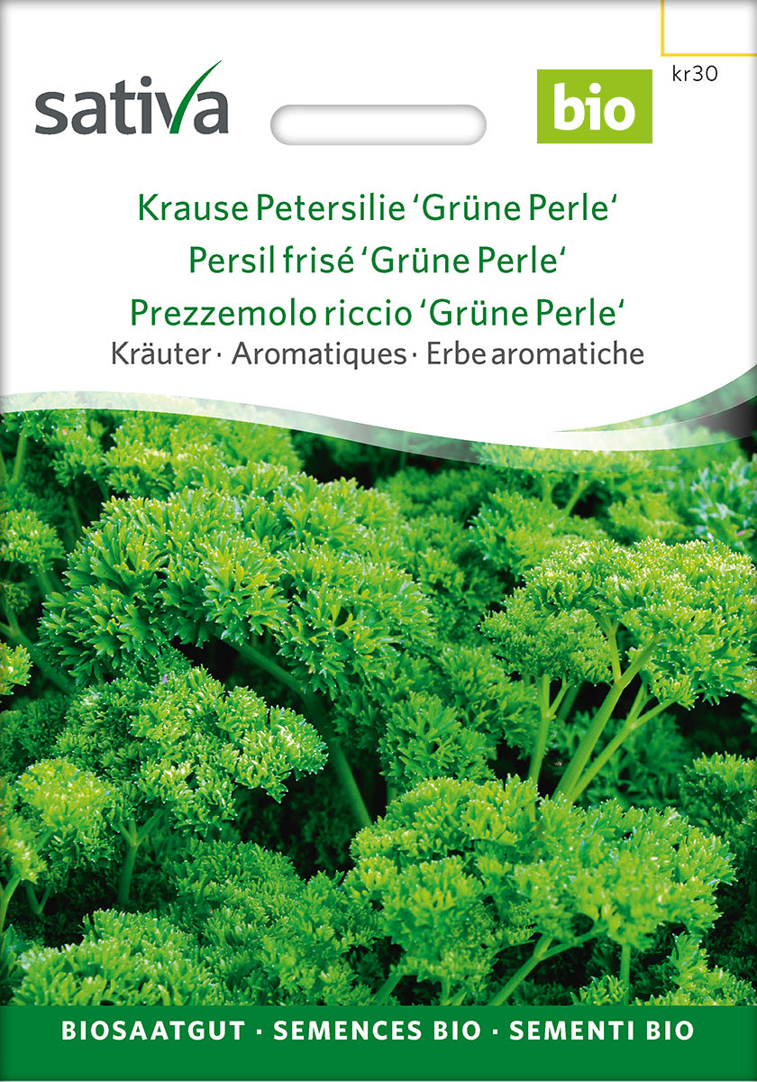 Sativa Krause Petersilie Grüne Perle