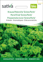 Sativa Krause Petersilie Grüne Perle