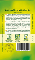 Quedlinburger Studentenblume Mr. Majestic