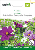 Sativa Cosmea