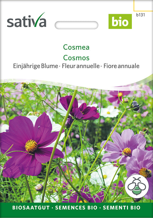 Sativa Cosmea