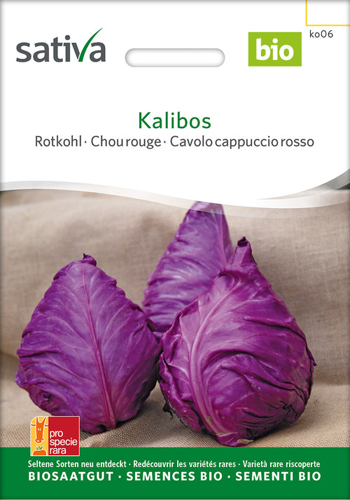 Sativa Rotkohl Kalibos