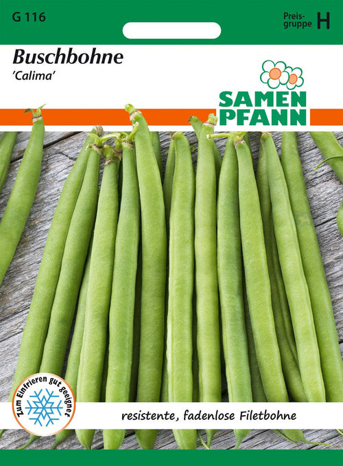 Samen Pfann Buschbohne Calima