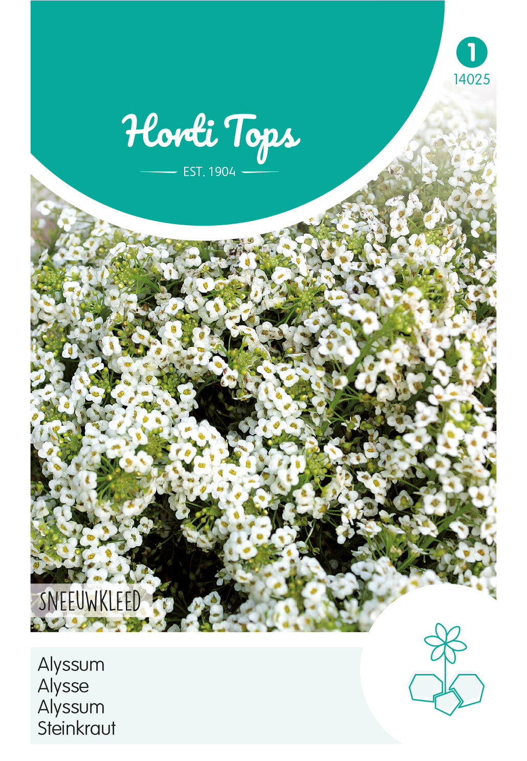 Horti Tops Steinkraut Schneeteppich