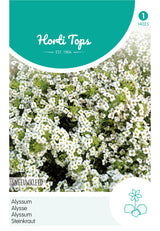 Horti Tops Steinkraut Schneeteppich